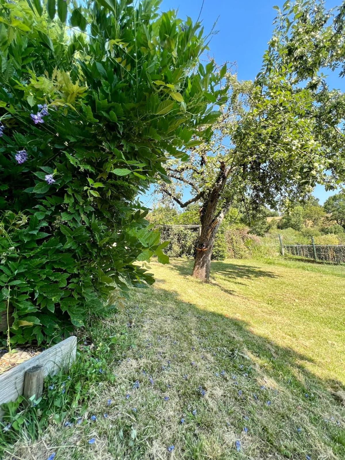 Villa La Baronnie - 11 Pers - Proche Brive -Jardin Ussac Екстер'єр фото