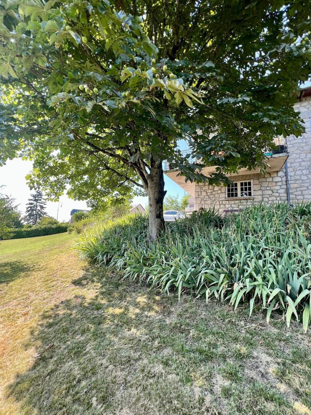 Villa La Baronnie - 11 Pers - Proche Brive -Jardin Ussac Екстер'єр фото